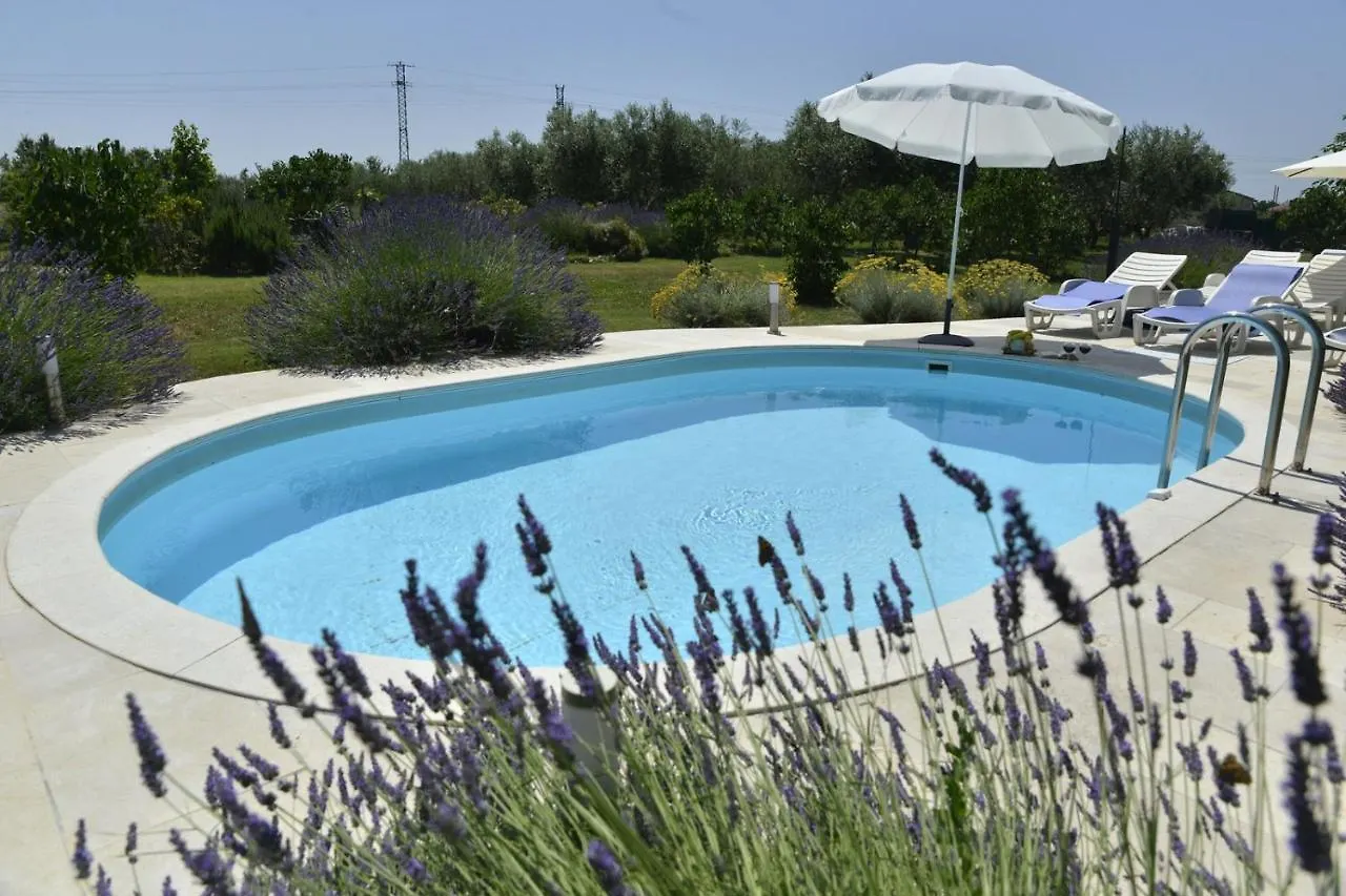 Feriehus Family Friendly House With A Swimming Pool Guran, Central Istria - Sredisnja Istra - 7373 Vodnjan Kroatien